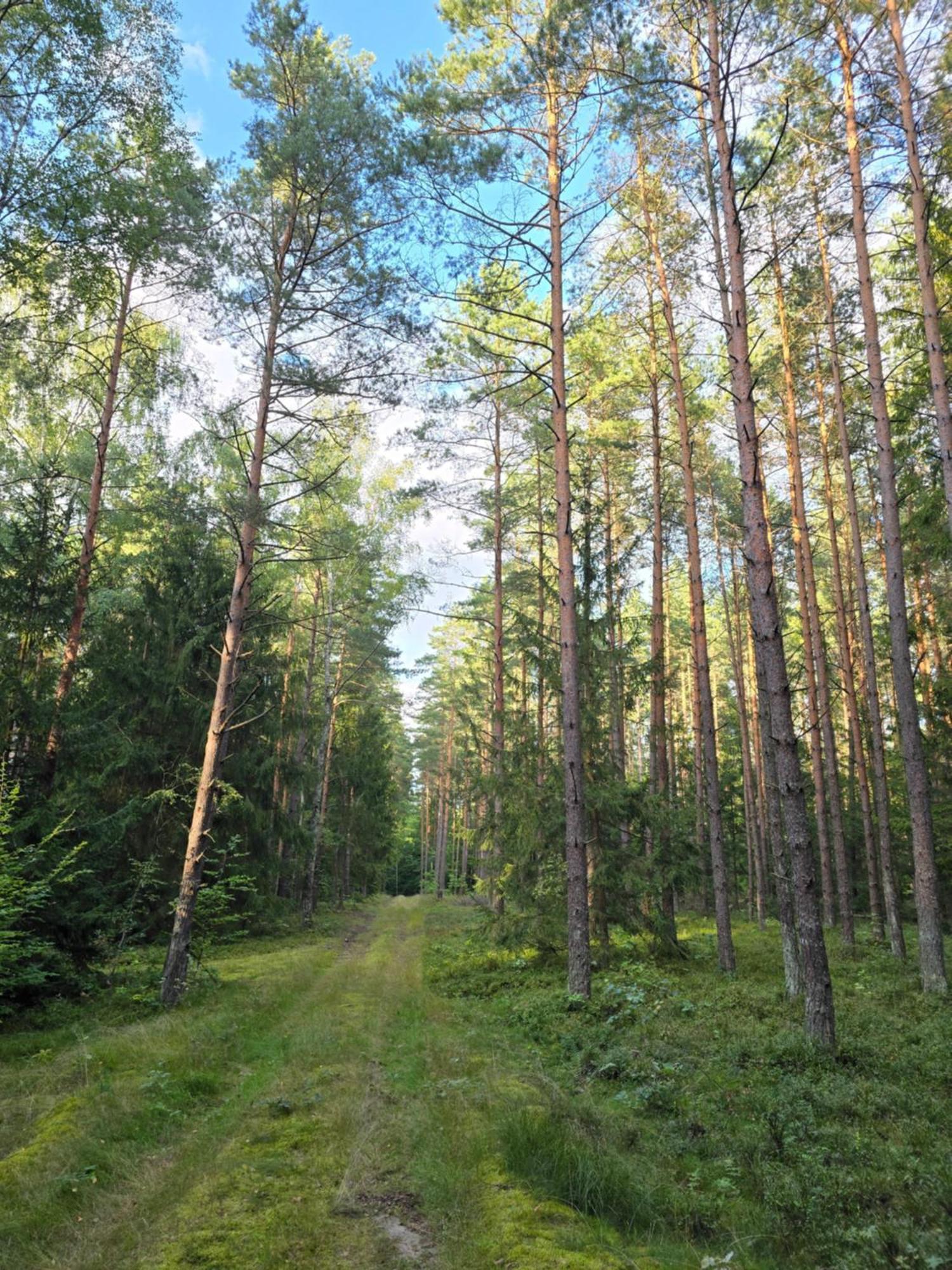 Bosko Siemiany - Bania, Jacuzzi, Kino Plenerowe, Ognisko, Rowery, Sup Villa Exteriör bild